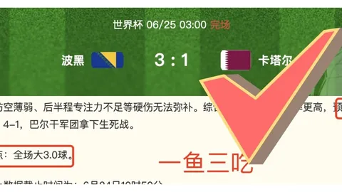 开云体育，开云体育官网， 095237 9